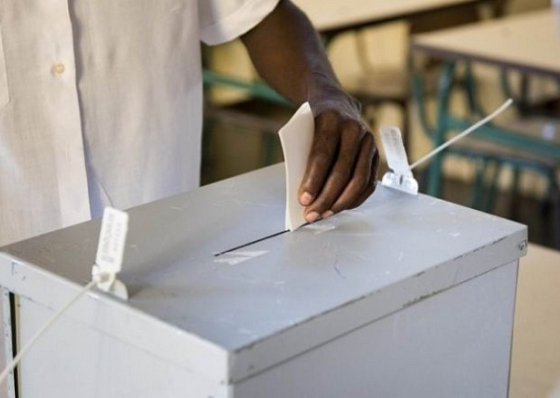 Afrosondagem: Uma sondagem e algumas interroga&ccedil;&otilde;es