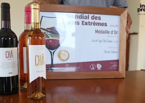 Fogo: Vinho Ch&atilde; Branco 2024 conquista Grande Medalha de Ouro no Mundial de Vinhos Extremos