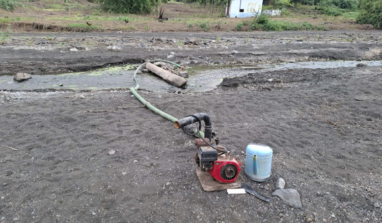 S&oacute; MpD e Governo est&atilde;o satisfeitos com as pol&iacute;ticas para a agricultura