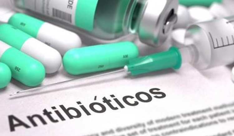 Cabo-verdianas investigam diagn&oacute;stico do cancro e uso de antibi&oacute;ticos com apoio da Gulbenkian