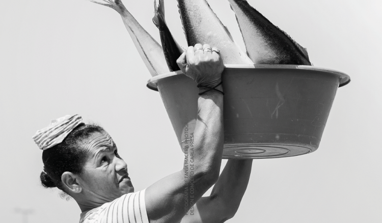 Peixeiras querem ter voz no desenho de pol&iacute;ticas p&uacute;blicas das pescas