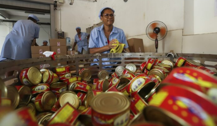 Exportações de Cabo Verde aumentaram 22,2% no segundo trimestre