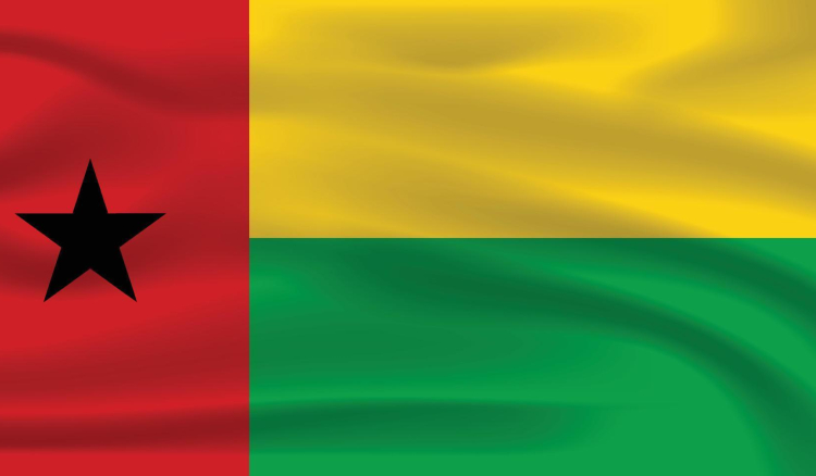 Guiné-Bissau/Eleições: Resultados provisórios divulgados até quinta-feira – CNE