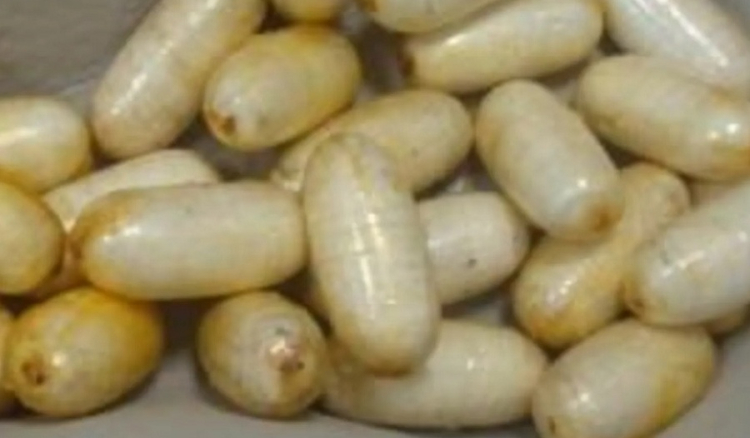 Praia: Apanhado no aeroporto com cocaína fica em prisão preventiva