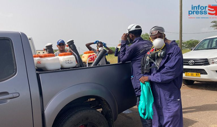 Praia: Agentes de luta anti-vectorial no terreno para campanha de sensibilização e pulverização ambiental