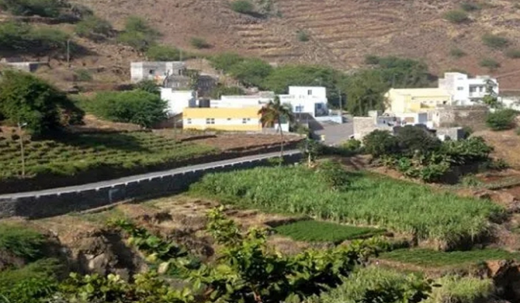 Porto Novo: Falta de &aacute;gua pode obrigar agricultores a optar pelo cultivo de cana