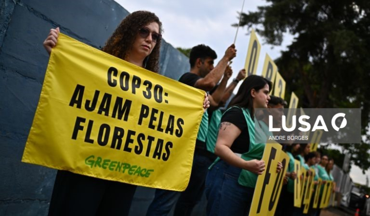 Organizações vão à COP30 defender financiamento público na luta da contra as alterações climáticas