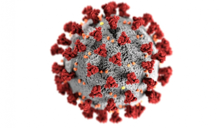 Covid-19. Nonagenária é a primeira cabo-verdiana no país a morrer com coronavirus