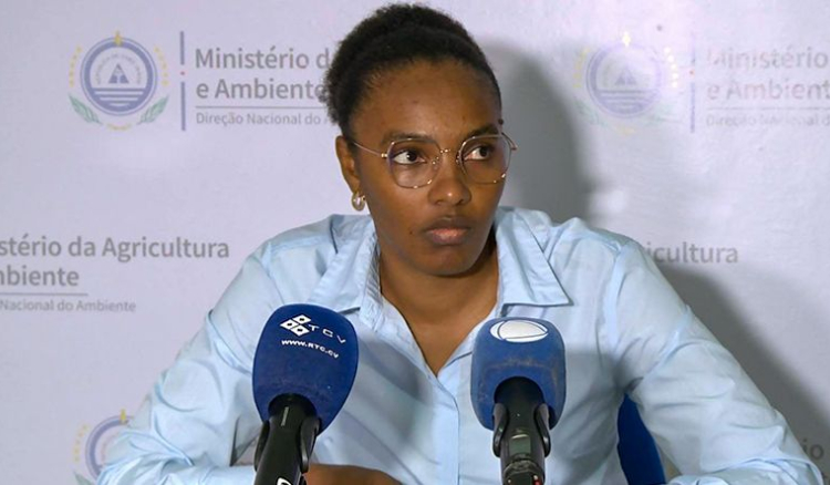 DNA faz ponto de situação da implementação da lei que proíbe comercialização e importação de plásticos descartáveis