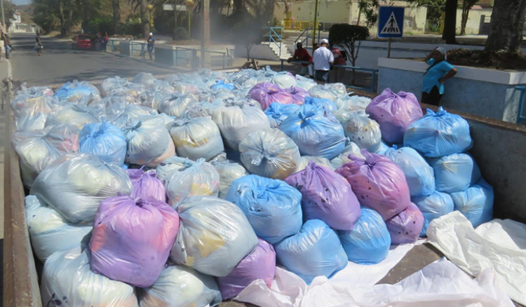 Covid-19. CM de São Domingos distribui duas mil cestas básicas às famílias mais carenciadas