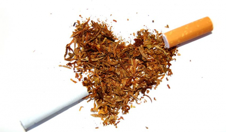 Nova lei do tabaco quer lugares livres de fumo e controlo de venda a menores
