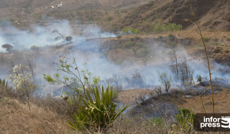 Incêndio nas áreas protegidas da Serra Malagueta “controlado e encerrado”