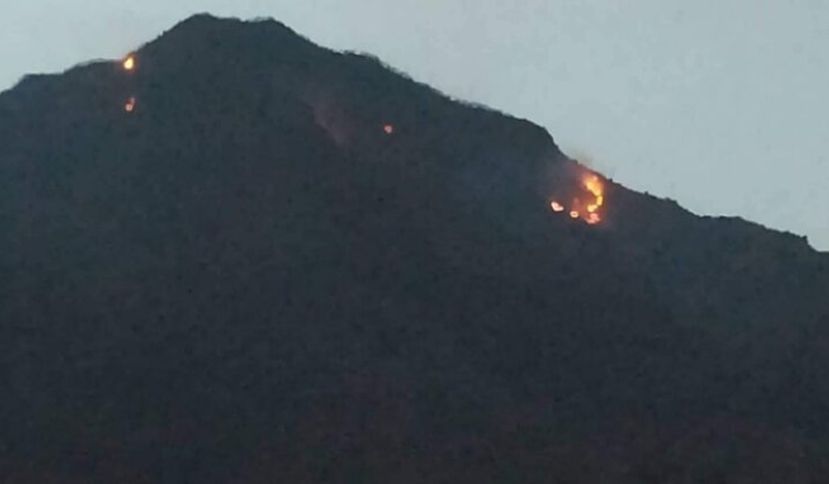 Estudo conclui que incêndio na Serra de Malagueta destruiu quase 850 hectares