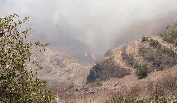 Grande incêndio está a consumir vasta área de Serra Malagueta. Meios aéreos poderão ser accionados