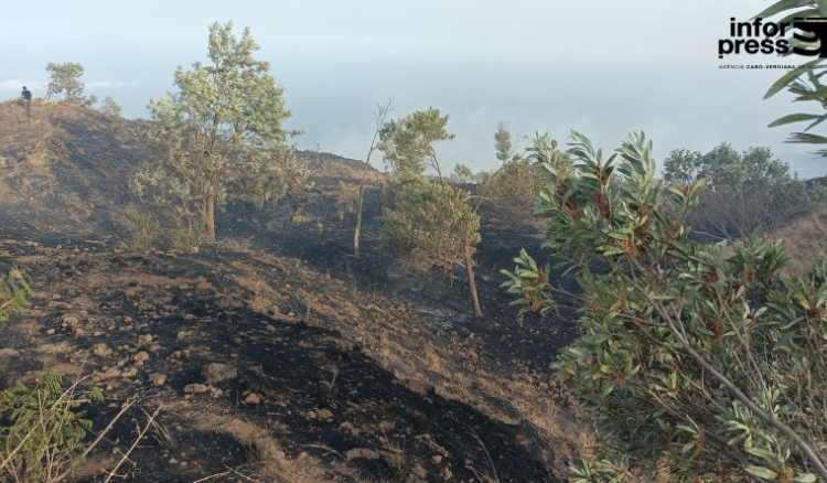 Fogo: Incêndio descontrolado em Santa Catarina já consumiu cerca de 200 hectares de terrenos