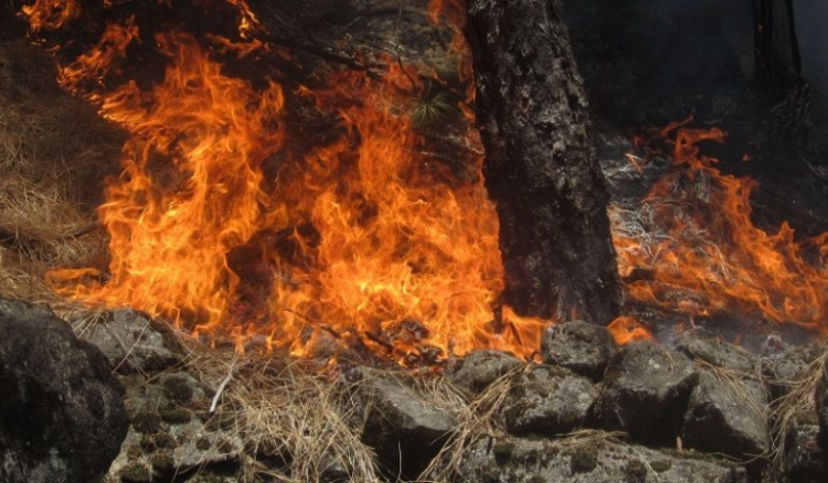 Santo Antão: Incêndio de grandes dimensões volta a deflagar na floresta do Planalto Leste