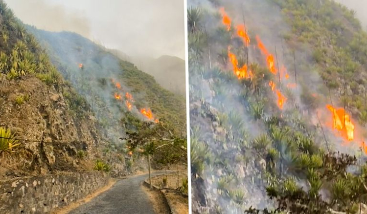 Fogo: Incêndio que deflagrou em Cova Matinho continua activo
