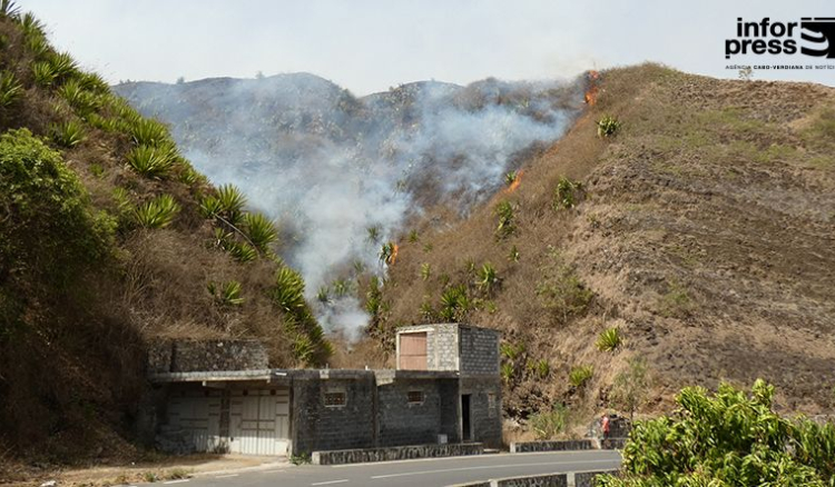 Incêndio em Campanas de Baixo consome sete hectares de terreno agrícola e de pastagem
