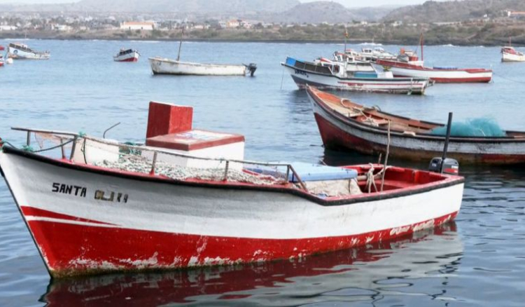 Santa Cruz: Associação de pescadores com diversas acções de sensibilização para o crescimento e bem-estar de toda a classe