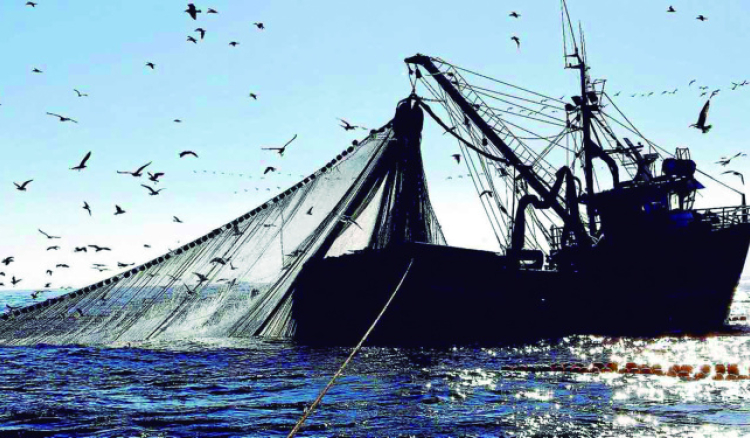 Cabo Verde e Panamá assinam memorandos sobre pesca ilegal e consultas políticas