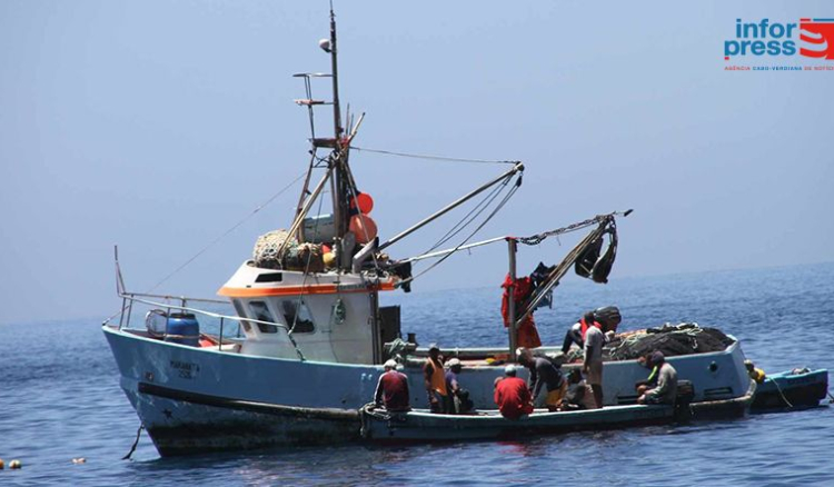 Coordenador do projecto Reduce alerta para a necessidade de monitorar impactos da pesca industrial