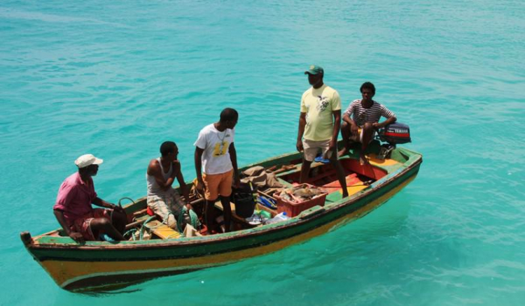 Donativos a Cabo Verde aumentaram 290,8% até Novembro