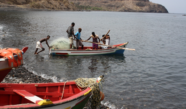 Pescas: Entre as cr&iacute;ticas das oposi&ccedil;&otilde;es e a glorifica&ccedil;&atilde;o do Governo