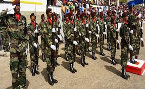 For&ccedil;as Armadas de Cabo Verde com 30 oficiais superiores para mil operacionais