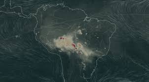 Amazónia a arder há 17 dias. Recuperação da floresta só em parte e daqui a 20 anos