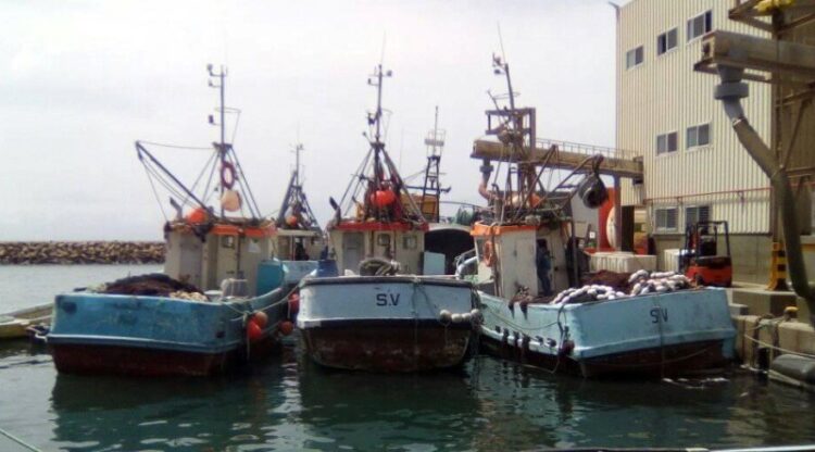 São Vicente: Associação dos Armadores de Pesca quer ver reavaliado o preço do gasóleo para armadores de pesca