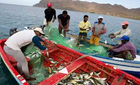 Dia Nacional do Pescador. INDP e Associação dos Armadores de Pesca de Cabo Verde assinam protocolo
