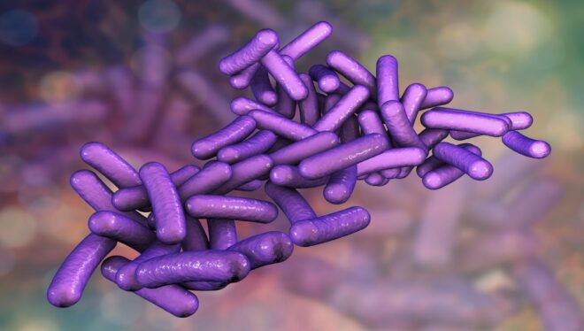 Bactéria infecciosa detectada na Europa com possível origem em Cabo Verde