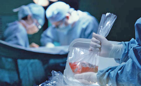 Lei de transplante de órgãos vai ser aprovada em 2020